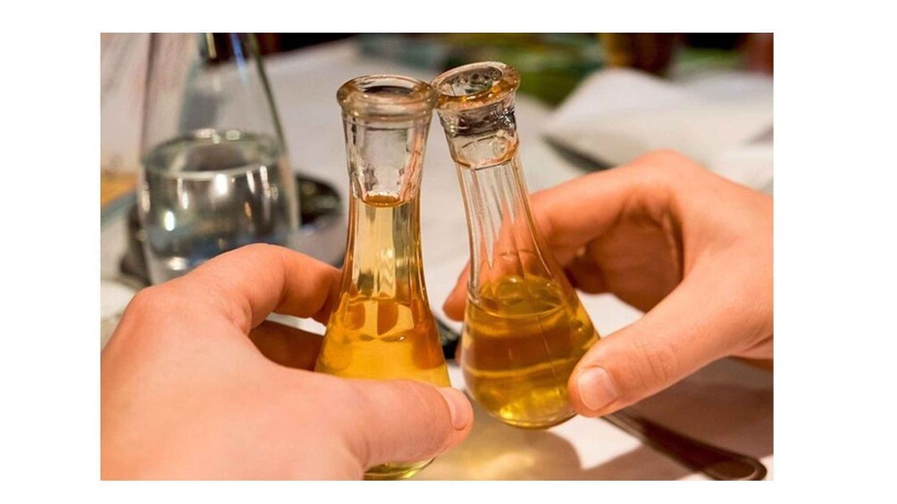 Picture 8 for Activity Belgrade: 3-Hour Walking Local Rakija Brandy Tasting Tour 3