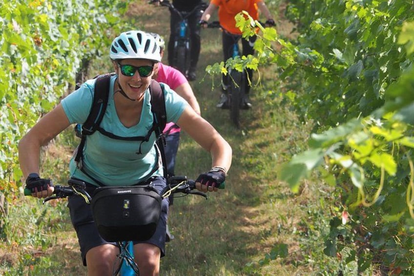 A person riding a bicycle on a trail surrounded by greenery. 1