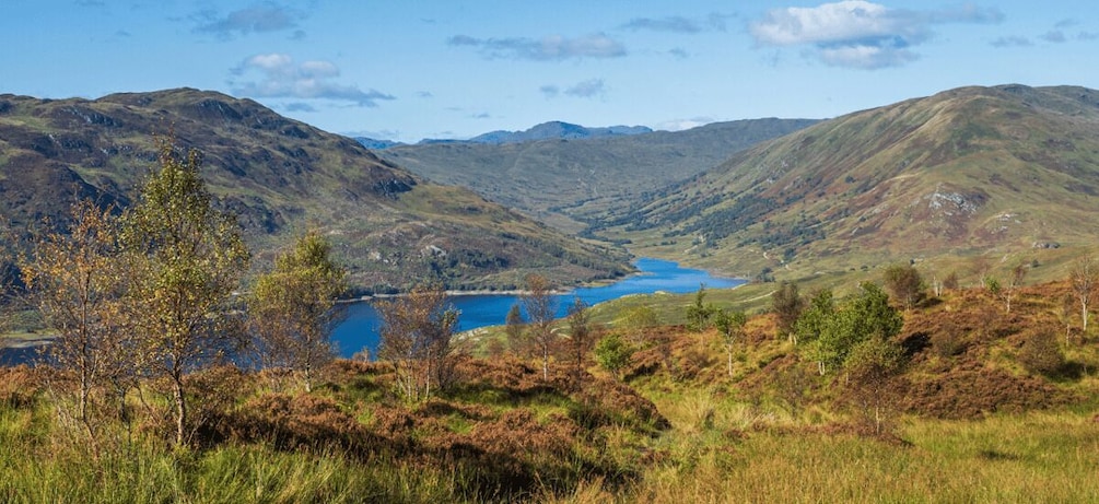 Picture 17 for Activity Loch Lomond & Trossachs National Park Drive Tour with an App 2