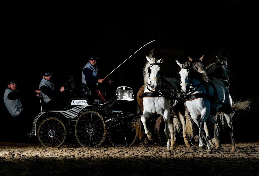 A horse-drawn carriage with four horses, a driver, and passengers. 5