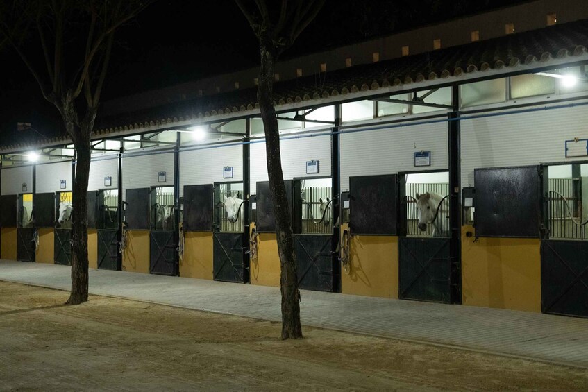 A stable with multiple stalls at night, illuminated by overhead lights. 3