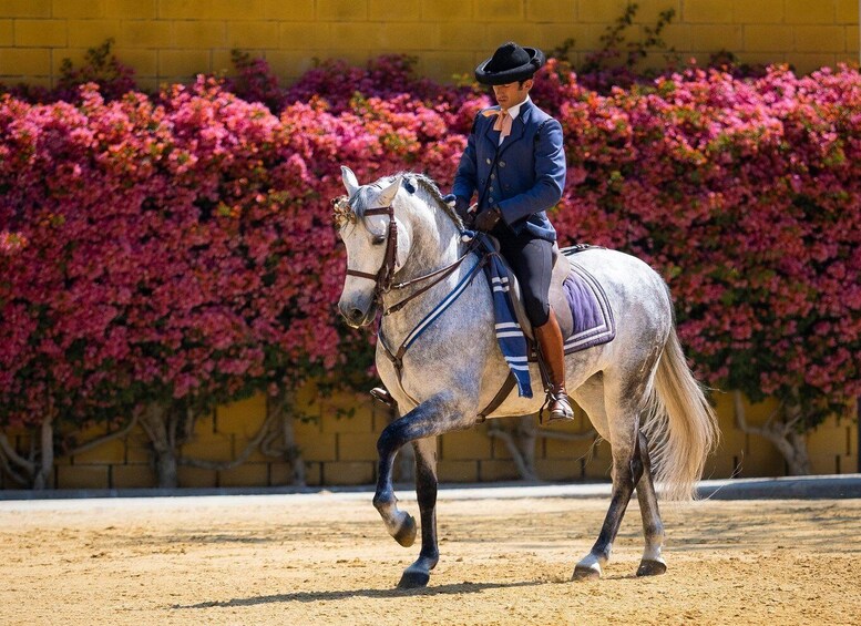 A person riding a horse in an arena with a yellow wall and pink flowers in the background. 1