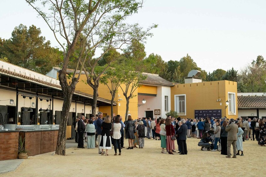 A crowded outdoor event with people standing and walking around in a courtyard with buildings and trees. 2