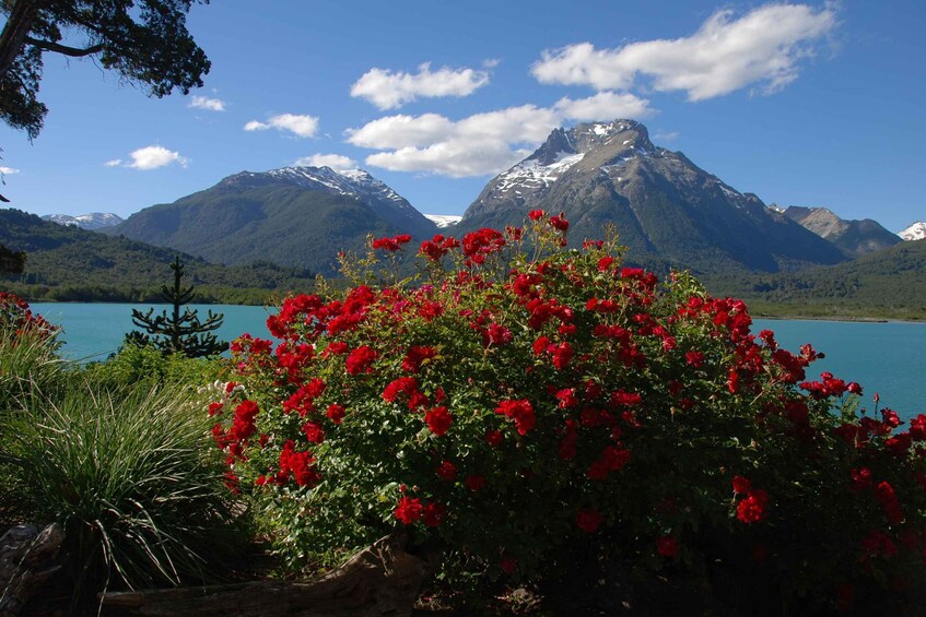 Picture 3 for Activity Cerro Tronador 3