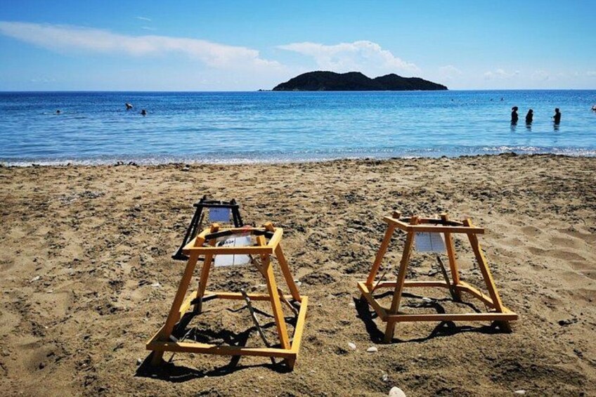 Zakynthos Cruise Ship Friendly 5 hours Boat & Land Tours 3