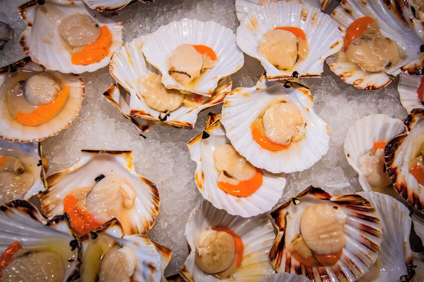 A variety of scallops arranged on ice. 2