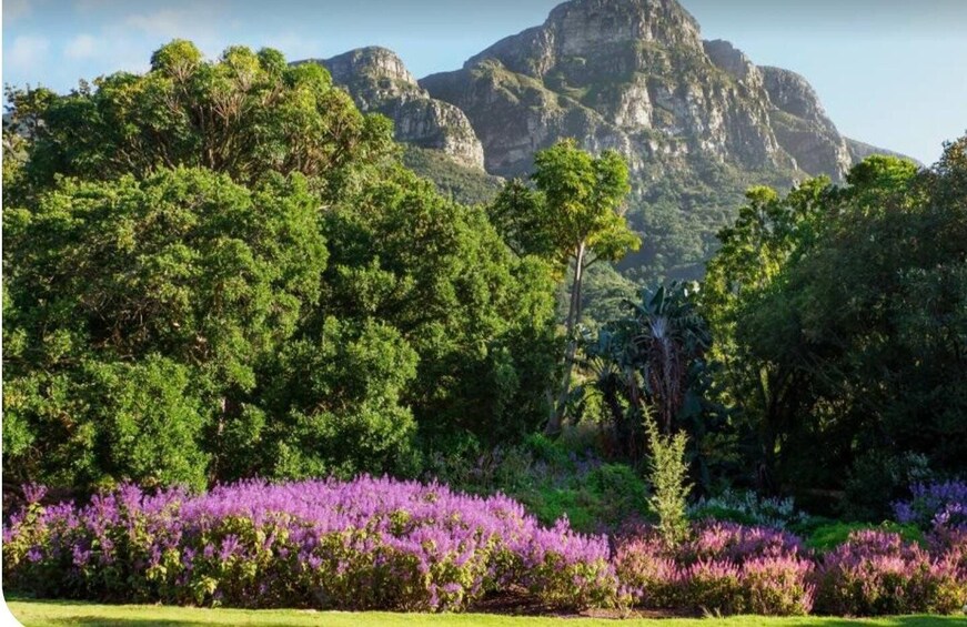 Picture 6 for Activity Cape Town: Bo-Kaap, Table Mountain, and Groot Constantia … 3