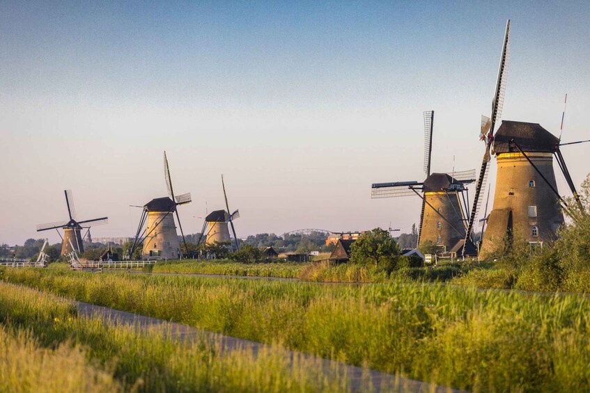 Windmills in a field with a clear sky. 1