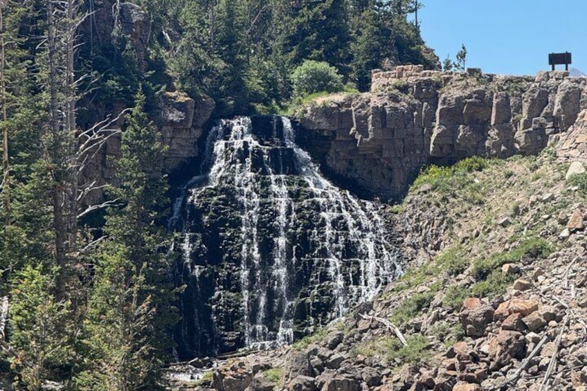 Yellowstone Upper Loop Tour with Lunch 5