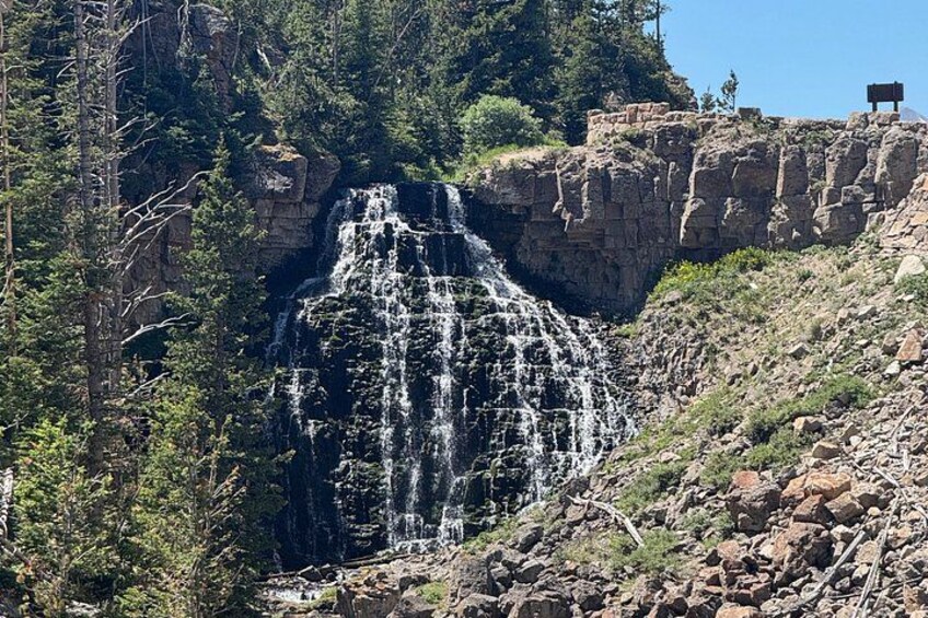 Yellowstone Upper Loop Tour with Lunch 2