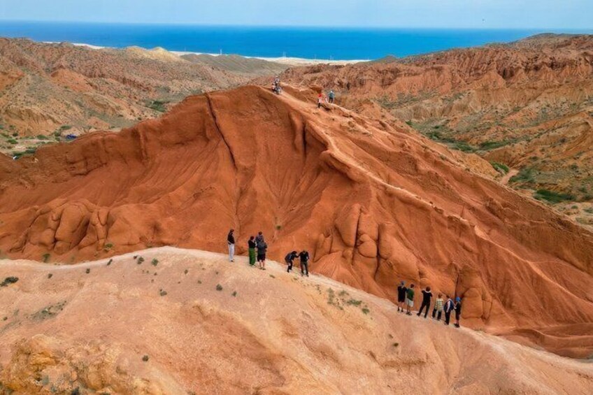 A group of people hiking on a red sandstone ridge with the ocean in the background. 5