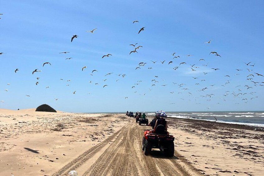 A sandy beach with a vehicle and people, birds flying in the sky, and a large rock formation in the distance. 4