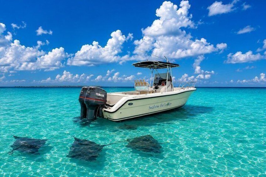 Ocean Blue Charters Private Boat Charters in the Cayman Islands 2
