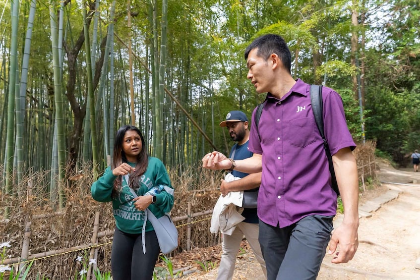 A group of people walking on a dirt path through a bamboo forest. 5