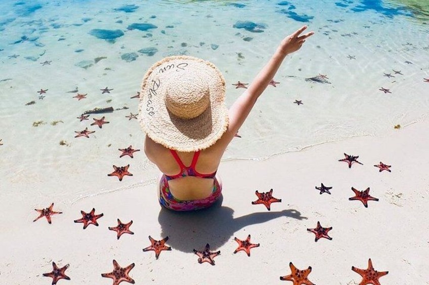 A person on a beach with starfish scattered around. 1