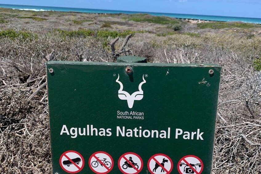 Whale Route Tour From Cape Town to Cape Agulhas and Hermanus 5