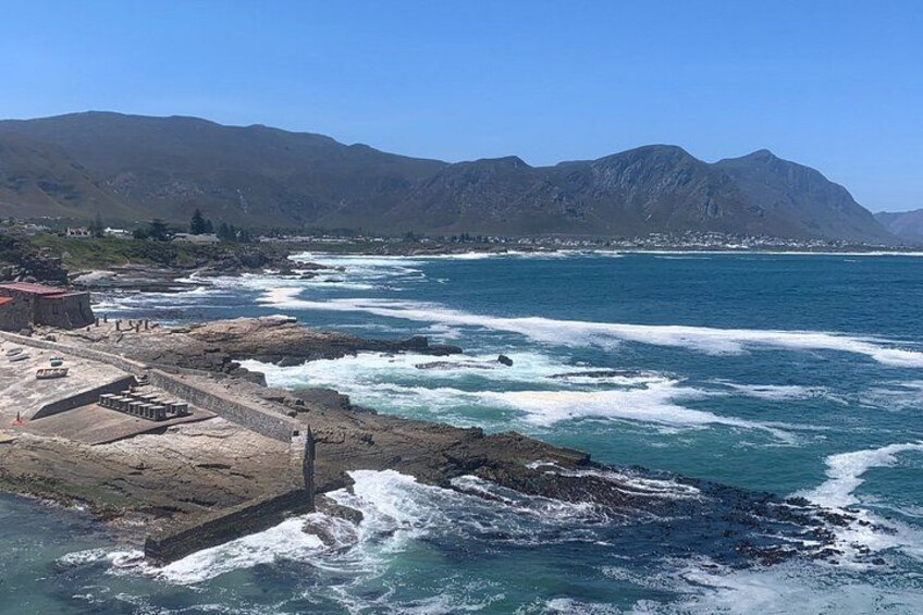 Whale Route Tour From Cape Town to Cape Agulhas and Hermanus 3