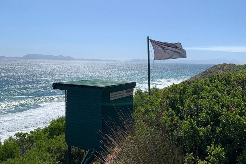 Whale Route Tour From Cape Town to Cape Agulhas and Hermanus 4