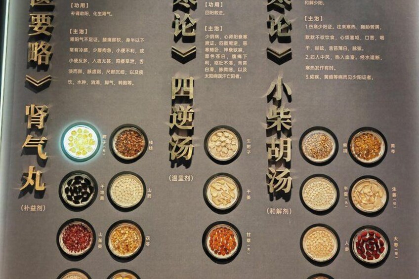 Shanghai:Chinese Wellness Day with Taichi, Pulse Reading and TCM 2