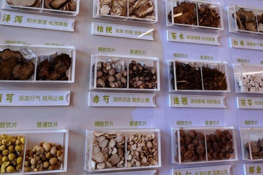 Chinese Wellness Day with Baduanjin Pulse Reading and TCM 4
