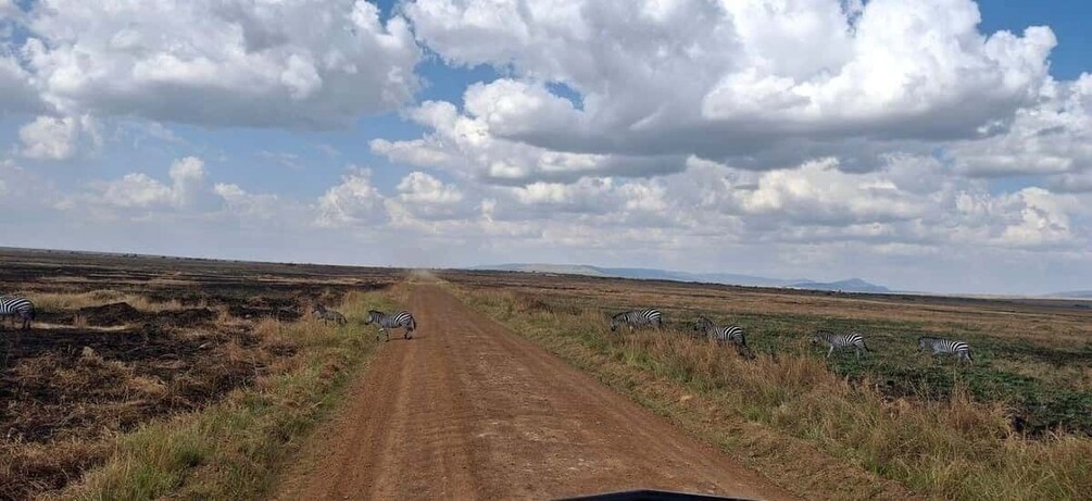 Picture 100 for Activity Nairobi: Overnight Private Safari to Maasai Mara 4