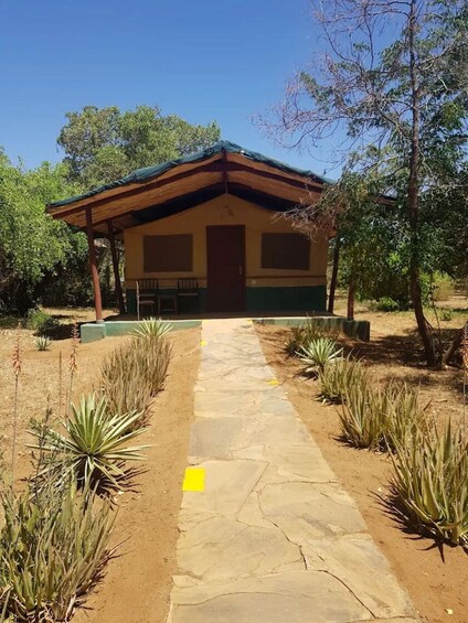 A small building with a green roof and a stone pathway leading to it, surrounded by agave plants and trees. 4