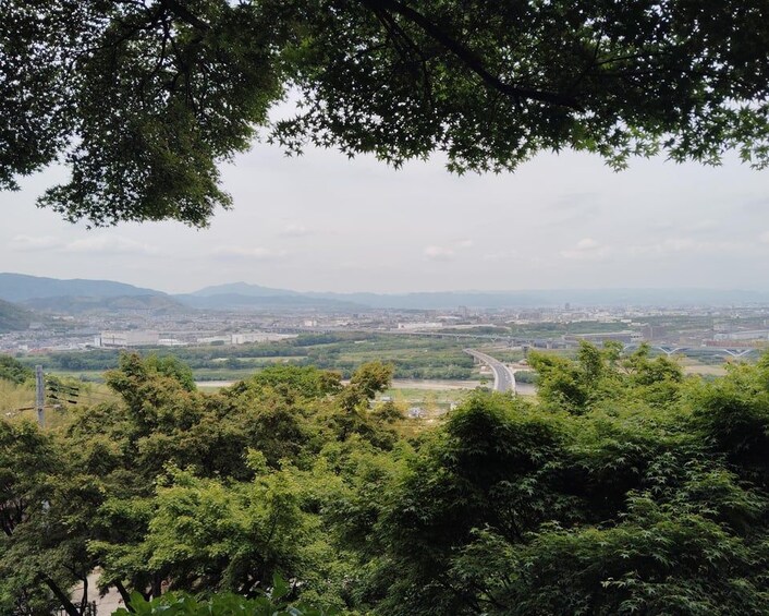 A landscape with dense green foliage in the foreground, a winding road, and a distant cityscape with mountains in the background. 3