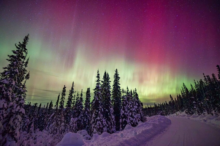 Picture 1 for Activity Reykjavík: Northern Lights Tour in Spanish with a 4x4 Car 3