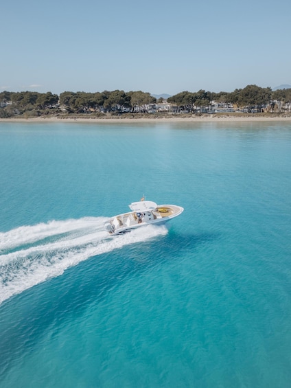 A speedboat on a turquoise sea with a wake behind it. 5