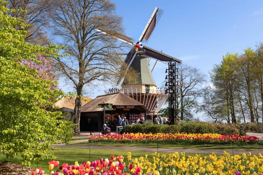 A windmill, a flower garden, and a shop named Clog Shop. 4