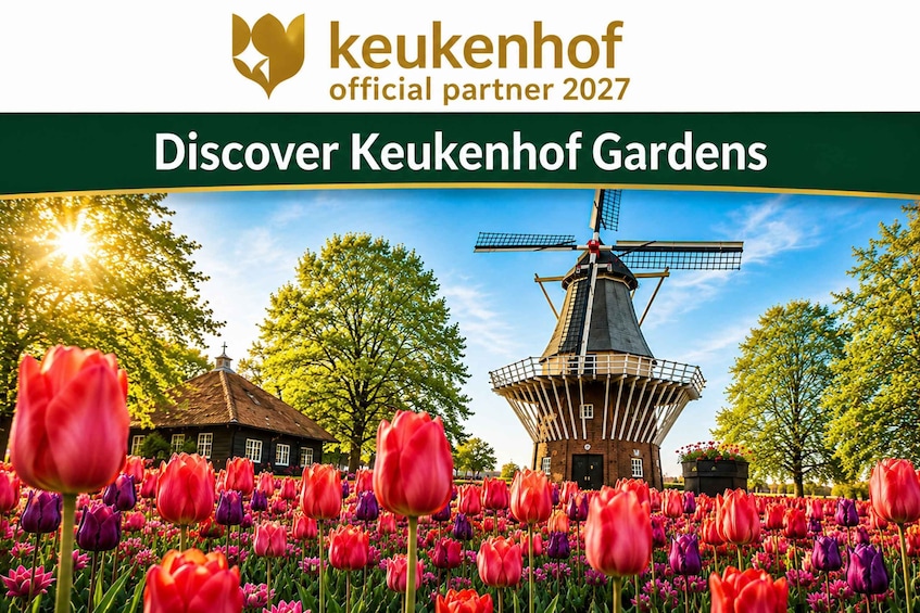 A windmill, tulips, and a traditional Dutch house. 1