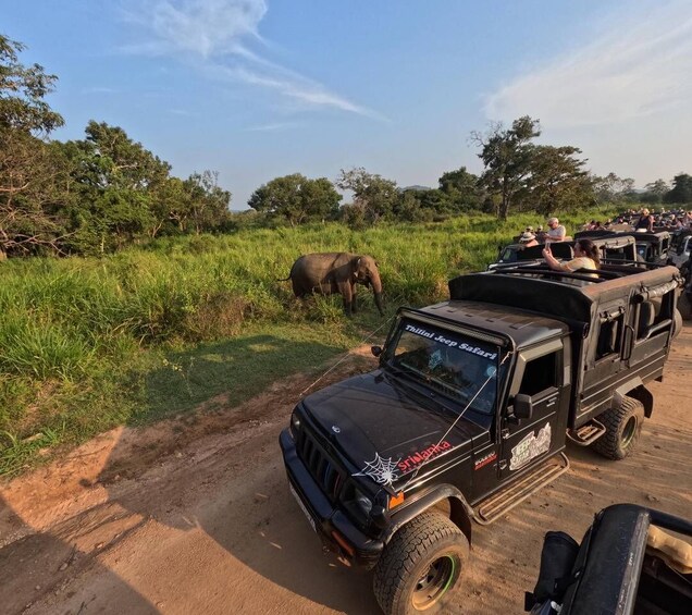 A safari vehicle with passengers and an elephant in a grassy area. 1