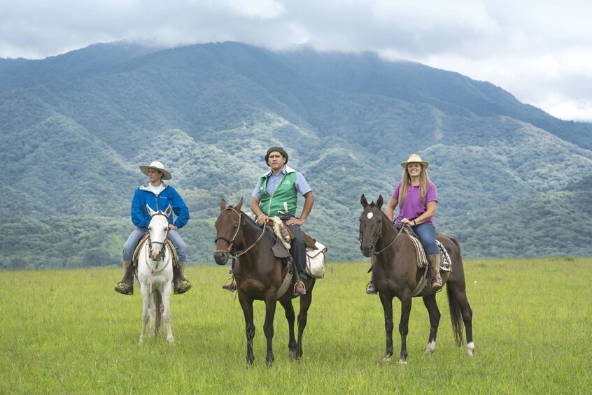 Three people riding horses in a grassy field with mountains in the background. 5