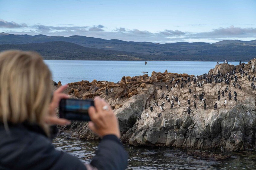 A person taking a photo of a rocky shoreline with penguins. 4