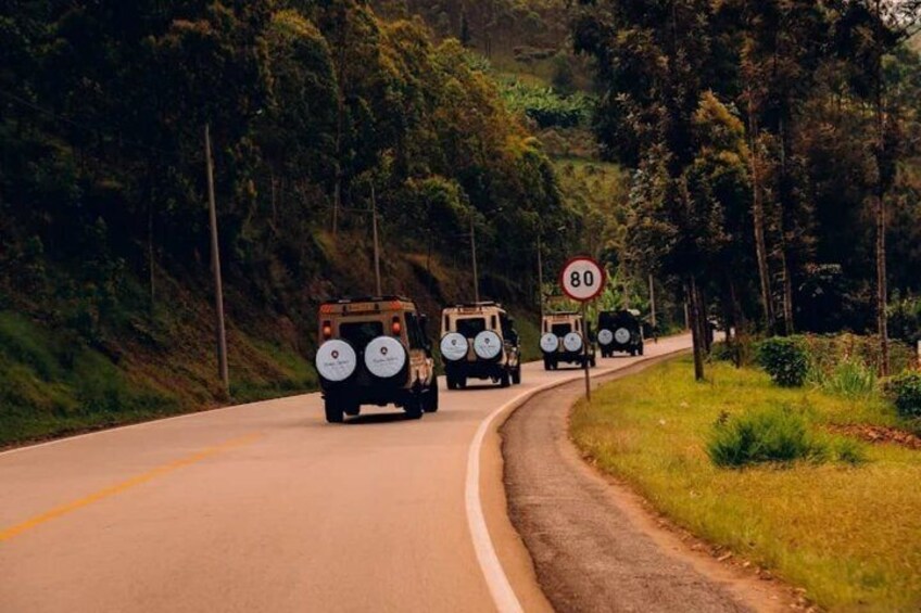 Un convoi de véhicules empruntait une route sinueuse, bordée d’une forêt dense. 5