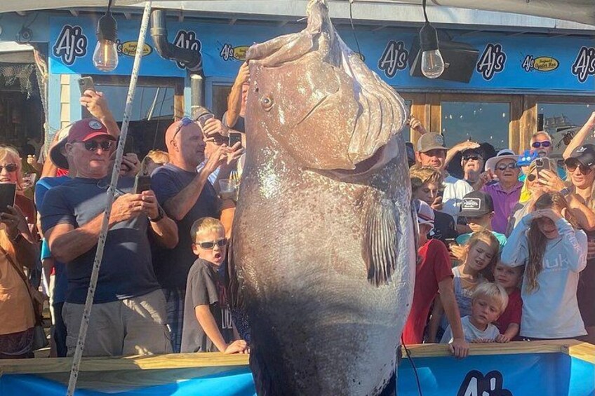 Private 12 Hour Fishing Trip 4
