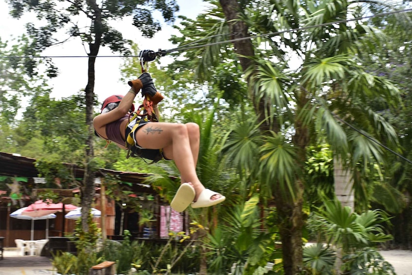 A person bungee jumping from a tree branch. 3