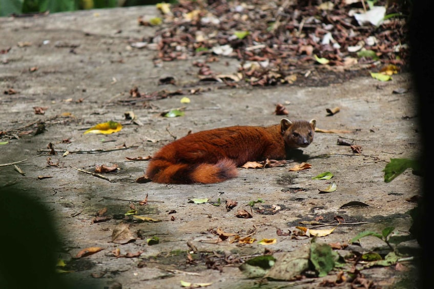 Picture 10 for Activity Diego Suarez: 5 Days Northern Madagascar Tour 5