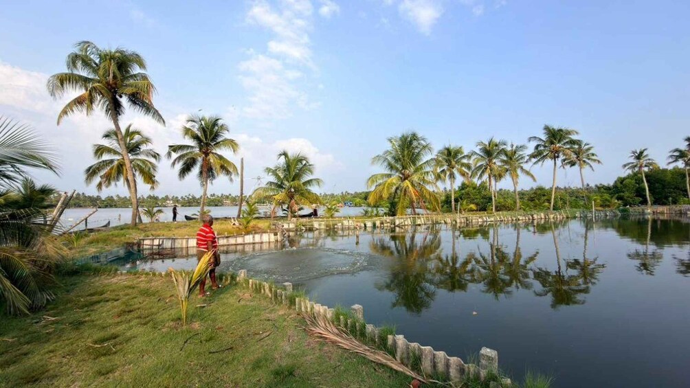 A calm lake with palm trees and a person standing by the water's edge. 3