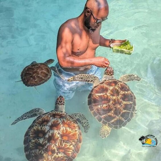 Picture 3 for Activity ZANZIBAR: Stone Town & Salaam Cave 3
