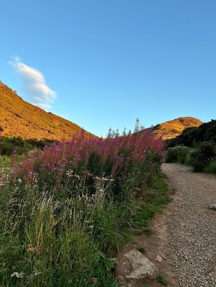Picture 3 for Activity Edinburgh: Arthur's Seat Hiking Tour with a Local Guide 2
