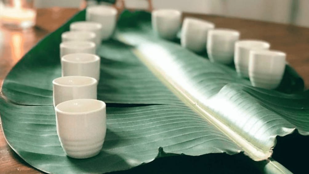 Delta del Ebro – Artisan Miso Fermentation Visit & Tasting 1