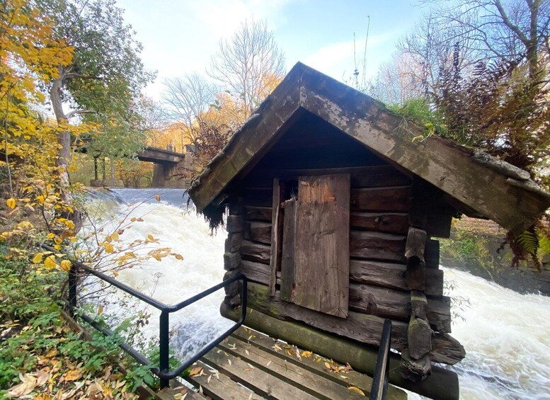 A rustic wooden cabin with a metal railing in a forested area. 3