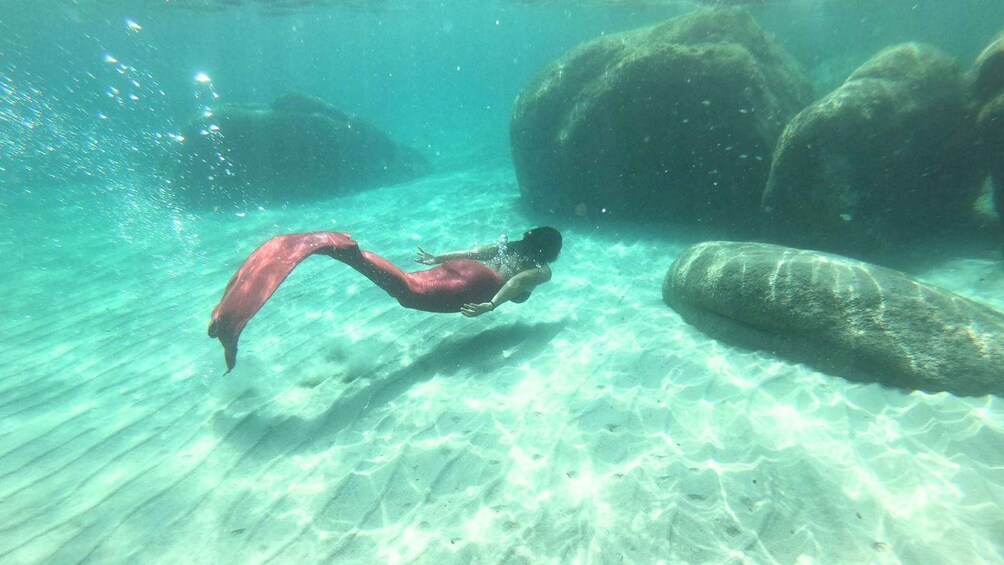 A diver swimming underwater near coral formations. 4