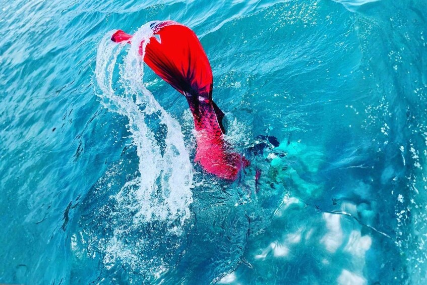 A red paddle in water, indicating kayaking activity. 3