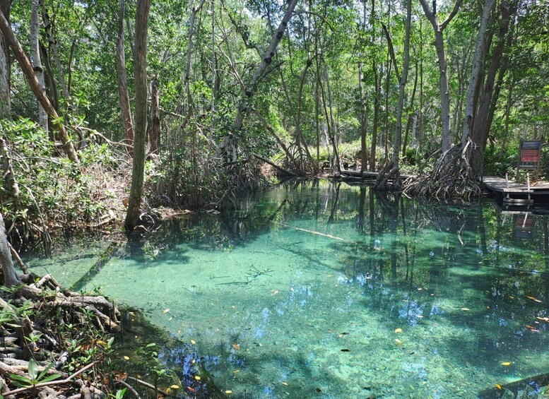 Picture 2 for Activity Merida : Celestun + Uxmal Combo 2x1 4