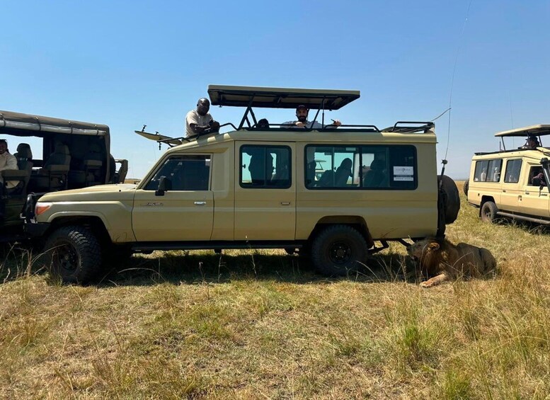 Picture 6 for Activity Nairobi: Day Trip to Amboseli National Park + Maasai Village 3