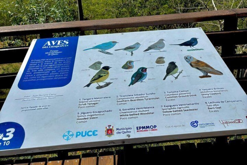 Quito Bike Tour Chaquiñán Scenic Trail Experience 4