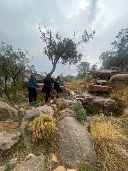 Picture 6 for Activity Taif: Al-Shafa Mountains Hike with Sunset & Dinner 5