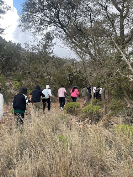 Picture 7 for Activity Taif: Al-Shafa Mountains Hike with Sunset & Dinner 4